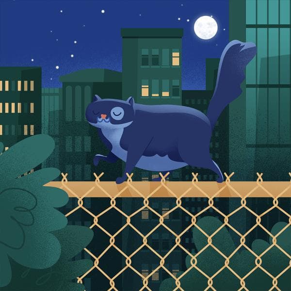 Gizmo the House Cat