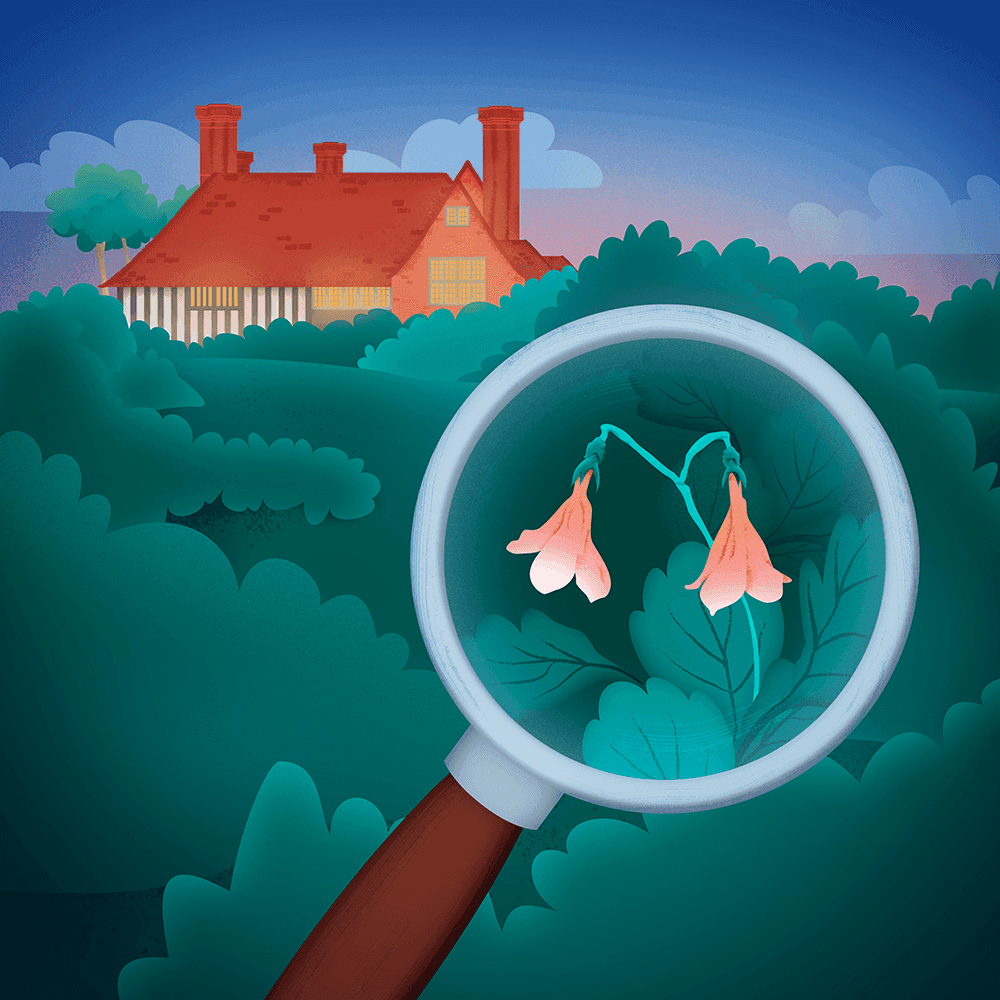 Clues at the Moonlit Manor