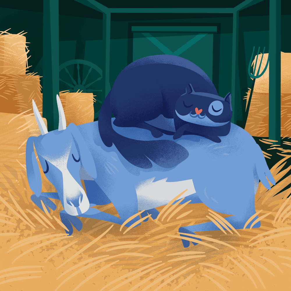 Gizmo Visits the Farm