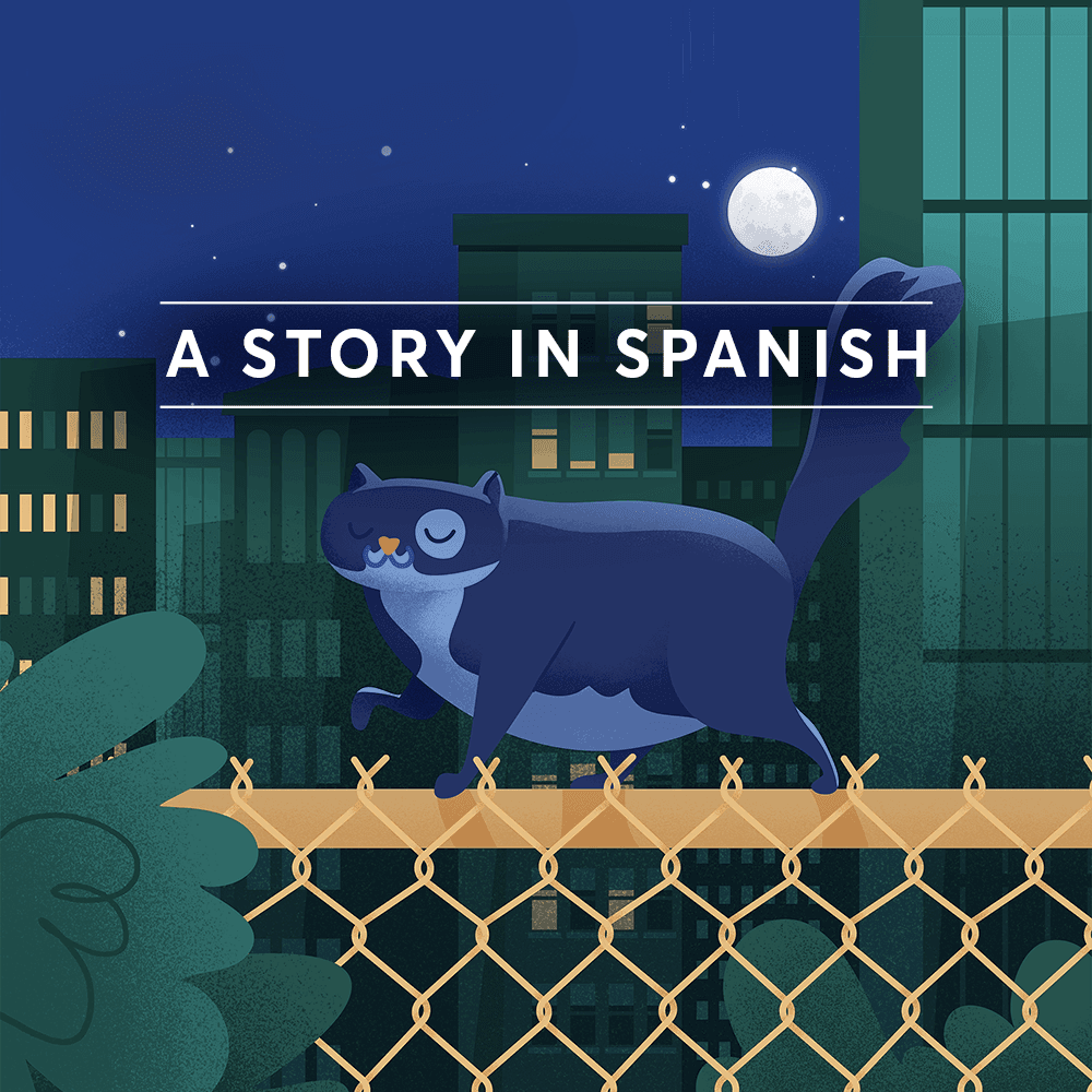 Gizmo the House Cat in Spanish