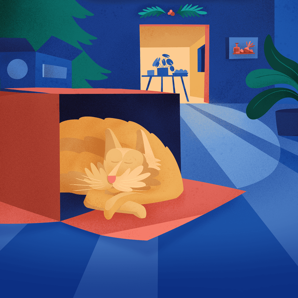 The Night Before Christmas