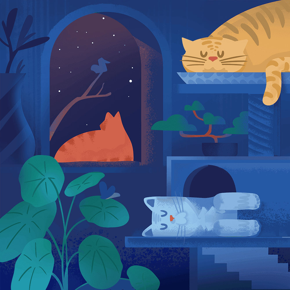 Metaphorical Sleep Journey