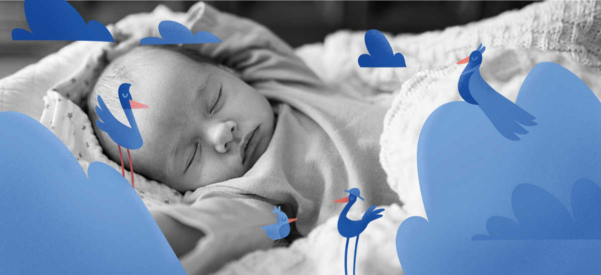 Is There Such Thing as Too Much Sleep for Newborns? BetterSleep